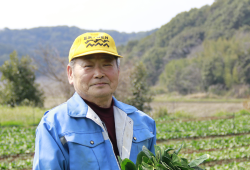 安心・安全の野菜づくり。