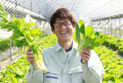 地元のおいしい野菜をどうぞ。