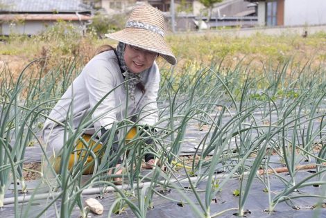 野菜づくりは生活の一部